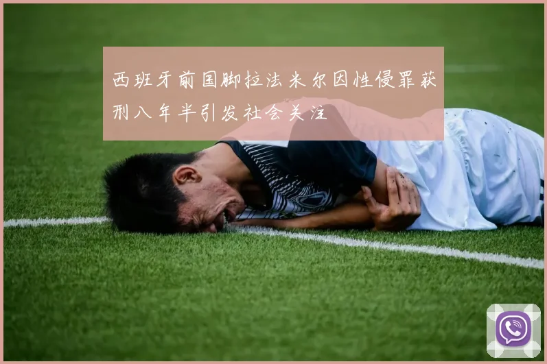 西班牙前国脚拉法米尔因性侵罪获刑八年半引发社会关注