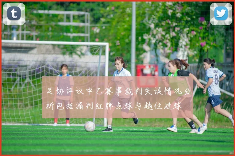 足协评议中乙赛事裁判失误情况分析包括漏判红牌点球与越位进球