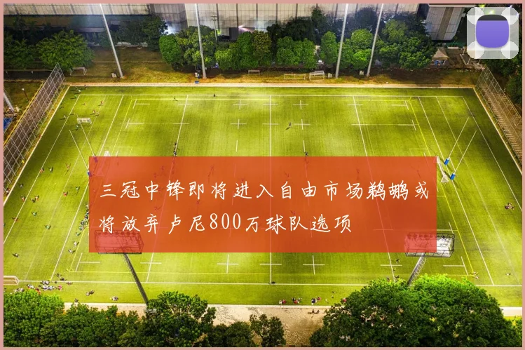 三冠中锋即将进入自由市场鹈鹕或将放弃卢尼800万球队选项