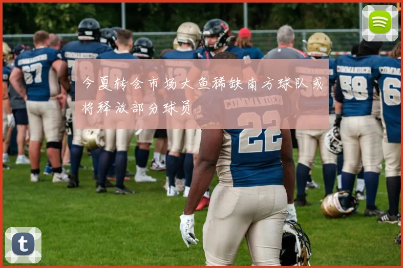 今夏转会市场大鱼稀缺南方球队或将释放部分球员