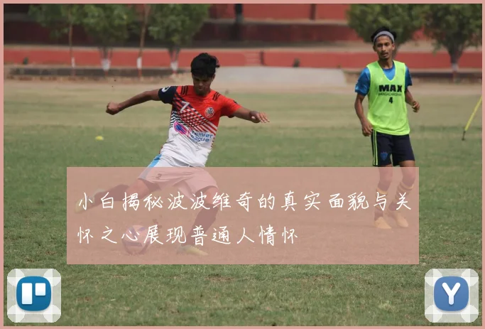 小白揭秘波波维奇的真实面貌与关怀之心展现普通人情怀