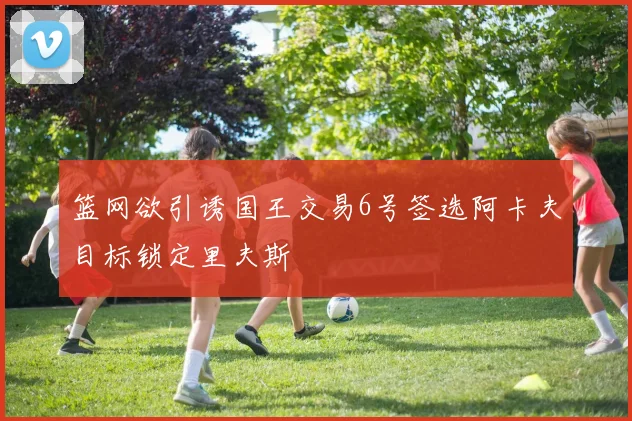 篮网欲引诱国王交易6号签选阿卡夫目标锁定里夫斯