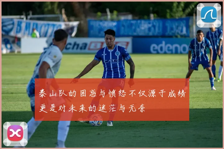 泰山队的困惑与愤怒不仅源于成绩更是对未来的迷茫与无奈